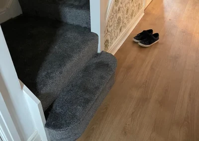 laminate_nov22